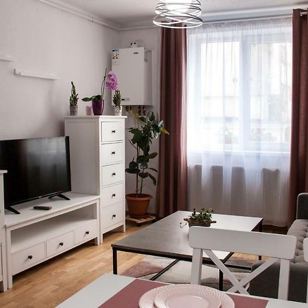 Ana Cristina Apartament Sighişoara Dış mekan fotoğraf