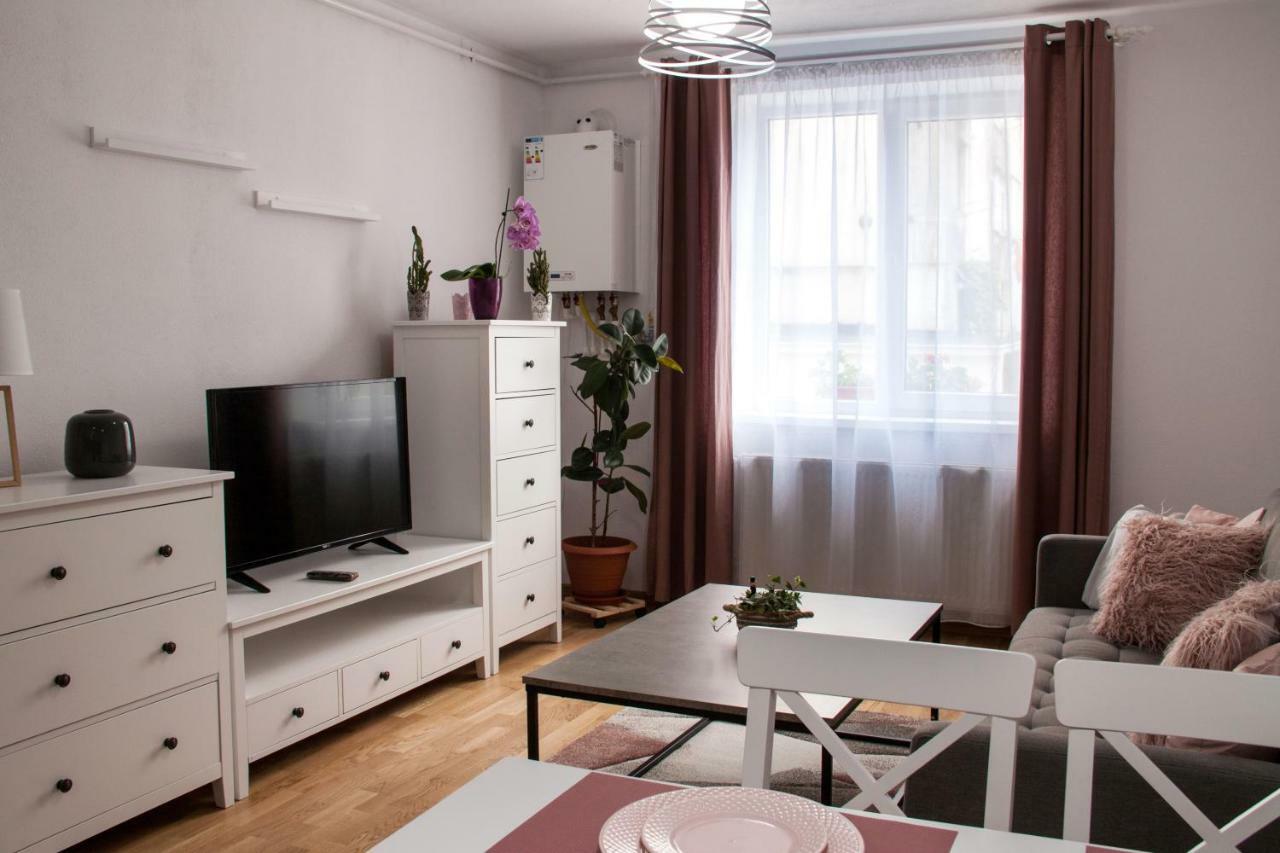 Ana Cristina Apartament Sighişoara Dış mekan fotoğraf