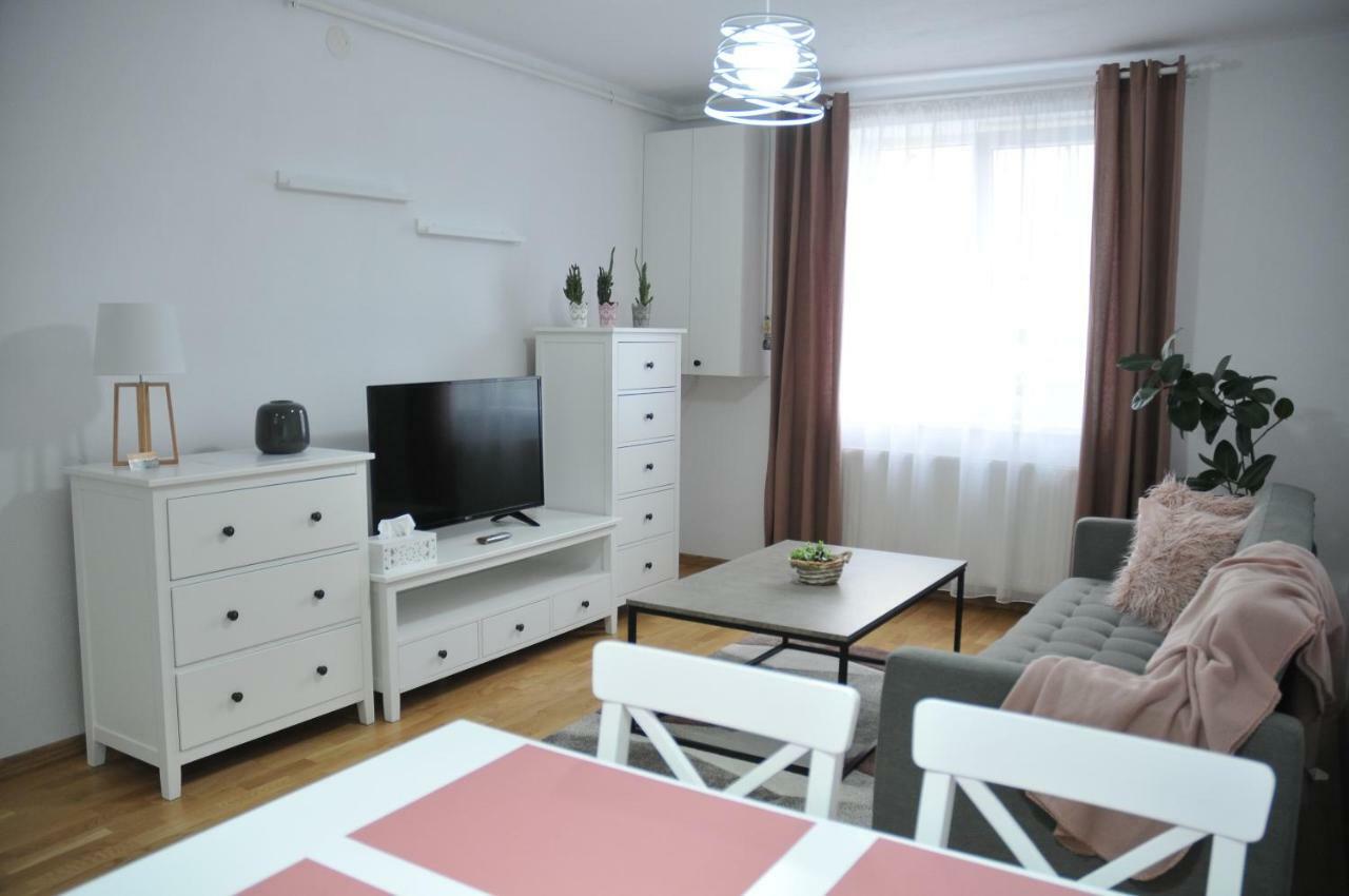 Ana Cristina Apartament Sighişoara Dış mekan fotoğraf
